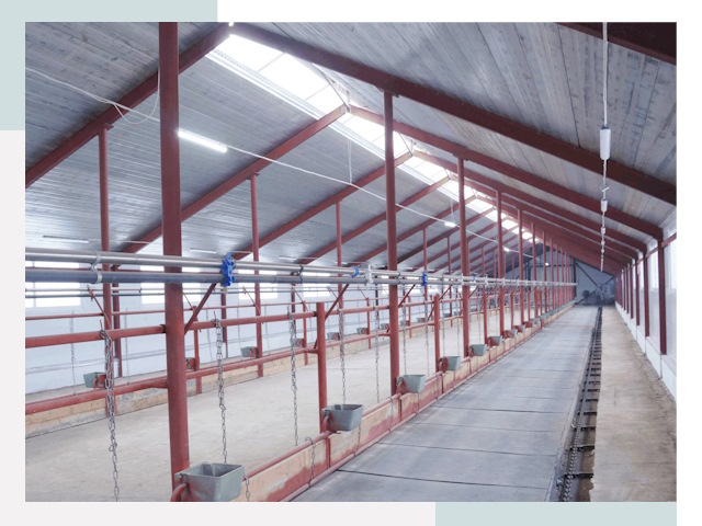 Строительство коровников в Долгопрудном от 609 руб.