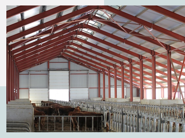 Строительство коровников в Долгопрудном