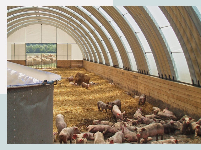 Строительство свинарников в Долгопрудном