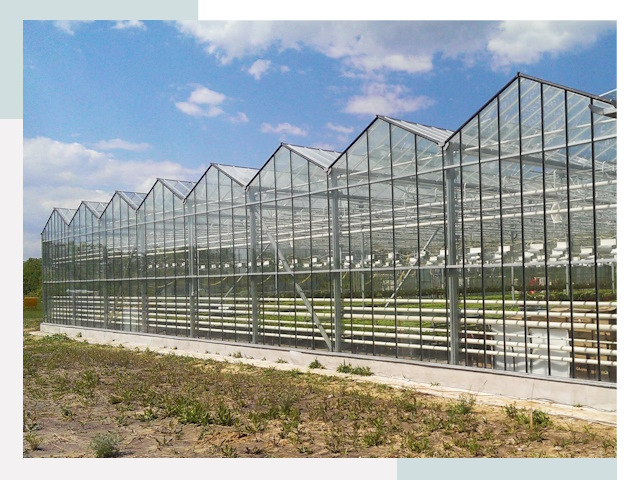 Строительство теплиц в Долгопрудный от 609 руб. за м²