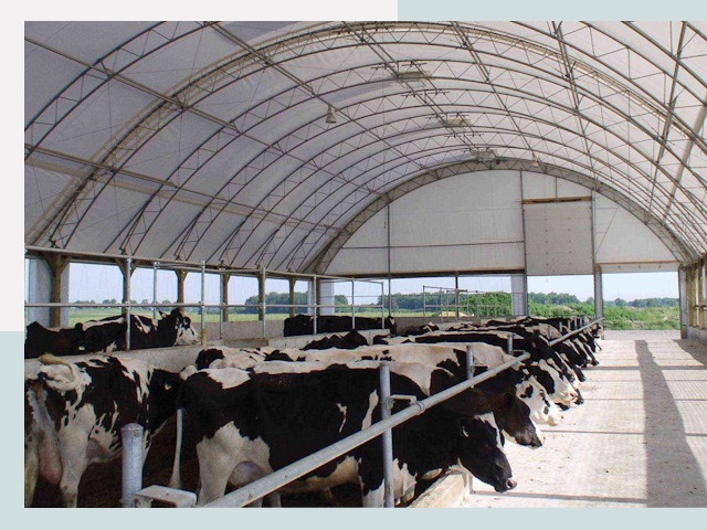 Тентовые коровники в Долгопрудном